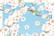 Sakura | Cherry Blossom Florals, an Illustration by January Bloom (Thumbnail 9 of 11)