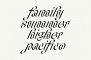 Champagne Cartel Family, a Serif Font by Tropical Type (Thumbnail 13 of 17)