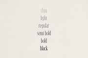 Veliora - Elegant Long Serif, a Font by Only Fonts (Thumbnail 5 of 11)