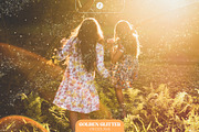 Golden Glitter Overlays, a Texture Graphic by Freezerondigital (Thumbnail 6 of 16)