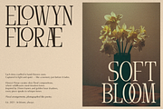 Arnnelo | Modern Display Serif, a Serif Font by gracetype_studio (Thumbnail 6 of 12)