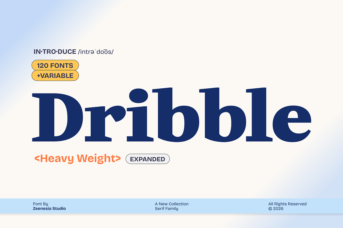 Dribble, a Serif Font by zeenesia (Photo 1 of 19)
