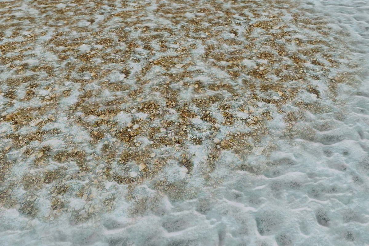 AUTUMN AND WINTER TEXTURE PACK, a Textures & Material 3D Model by Beatheart Creative Studio (Photo 29 of 58)