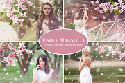Under Magnolia photo overlays set, an Object Graphic by BrownLeopard (Thumbnail 1 of 6)