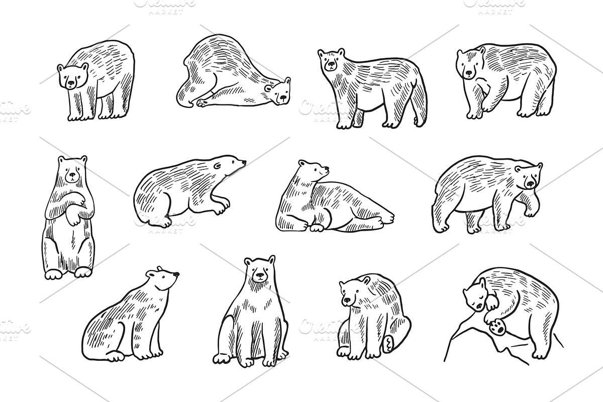 Polar bear, a Pattern Graphic by GooseFrol (Photo 8 of 8)