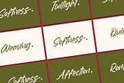 Dummy Catidays Handwritten Brush, a Script Font by Letterena Studios Script (Thumbnail 10 of 20)