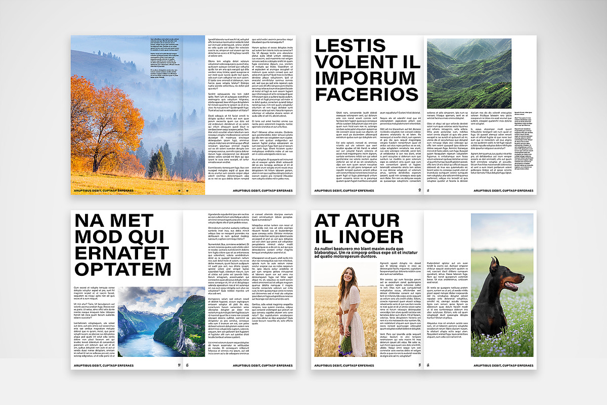 Bold Typography Brochure Template preview 3