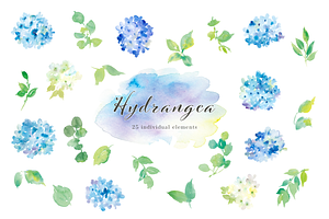 Hydrangea Watercolor Clipart Set