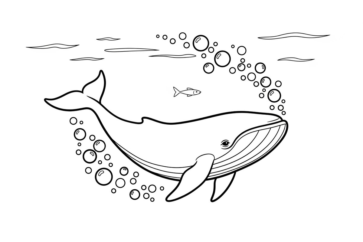 Whale Line Art Vector Bundle, an Illustration by yasushie (Photo 39 of 51)