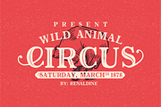 The Circous, a Font by 24Design Studios (Thumbnail 6 of 9)