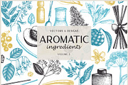 Aromatic Plants & Flowers Sketches, a Healthcare Illustration by Yevheniia (Thumbnail 1 of 9)