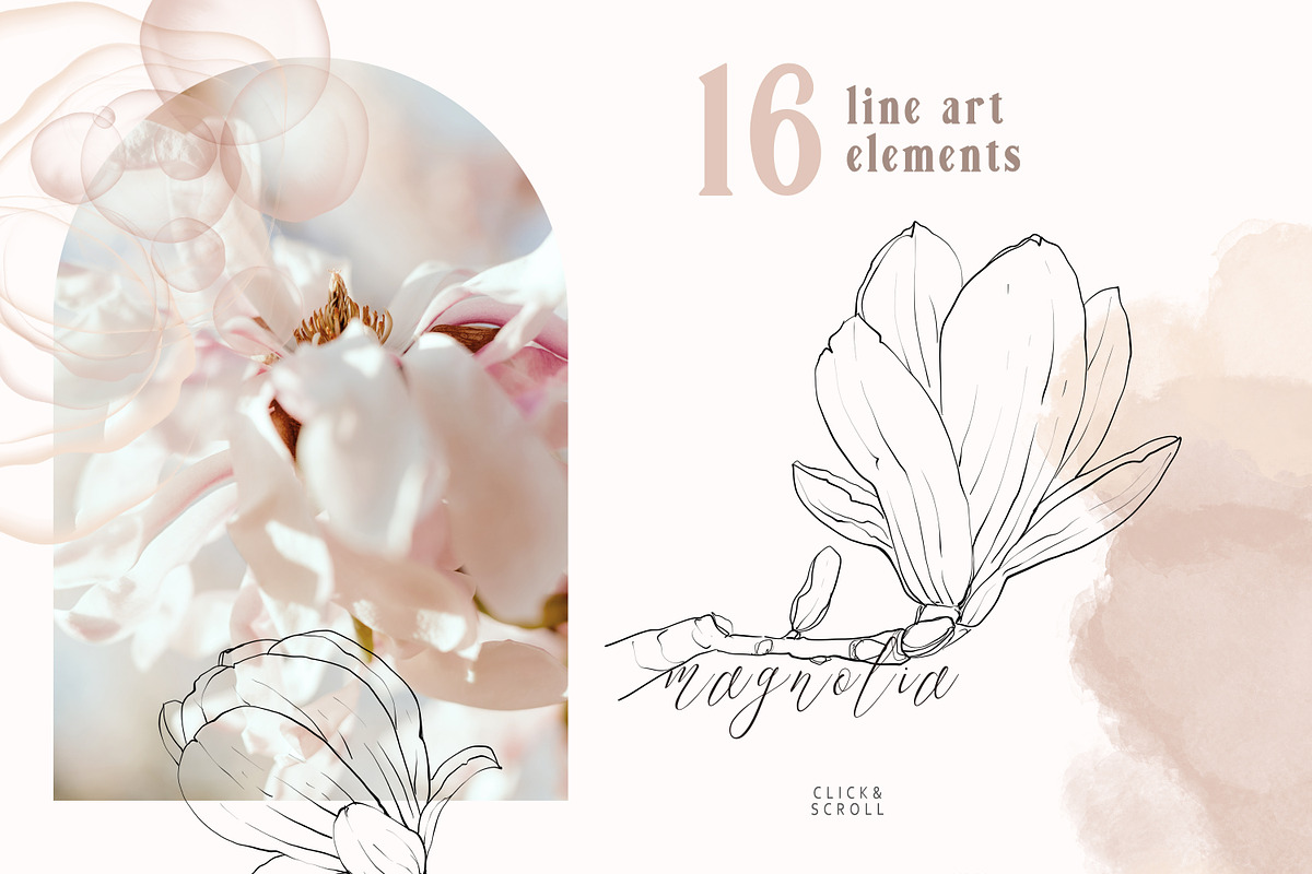 Magnolia Line Art collection, a Texture Illustration by Tiana Geo (Photo 2 of 16)