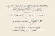 Anabella Monoline Script, a Script Font by Creatype Studio (Thumbnail 9 of 9)
