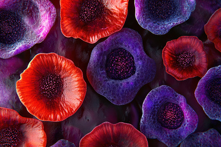 A captivating arrangement of stylize, a Photo by Tanuart