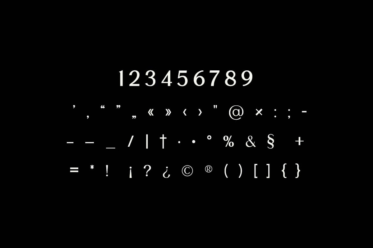Aglycones Elegant Serif Display Font, a Serif Font by UICreative (Photo 7 of 13)