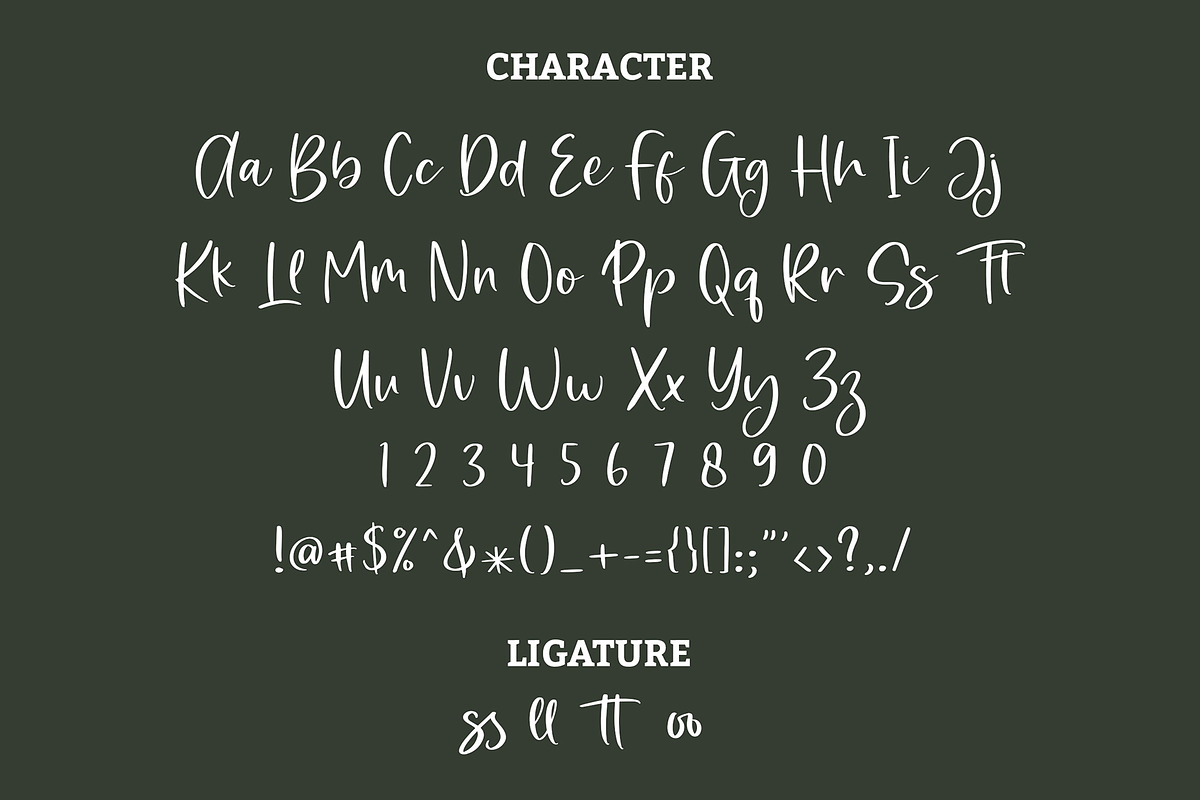 Rossitta Modern Script Font, a Script Font by Giant Design (Photo 10 of 10)