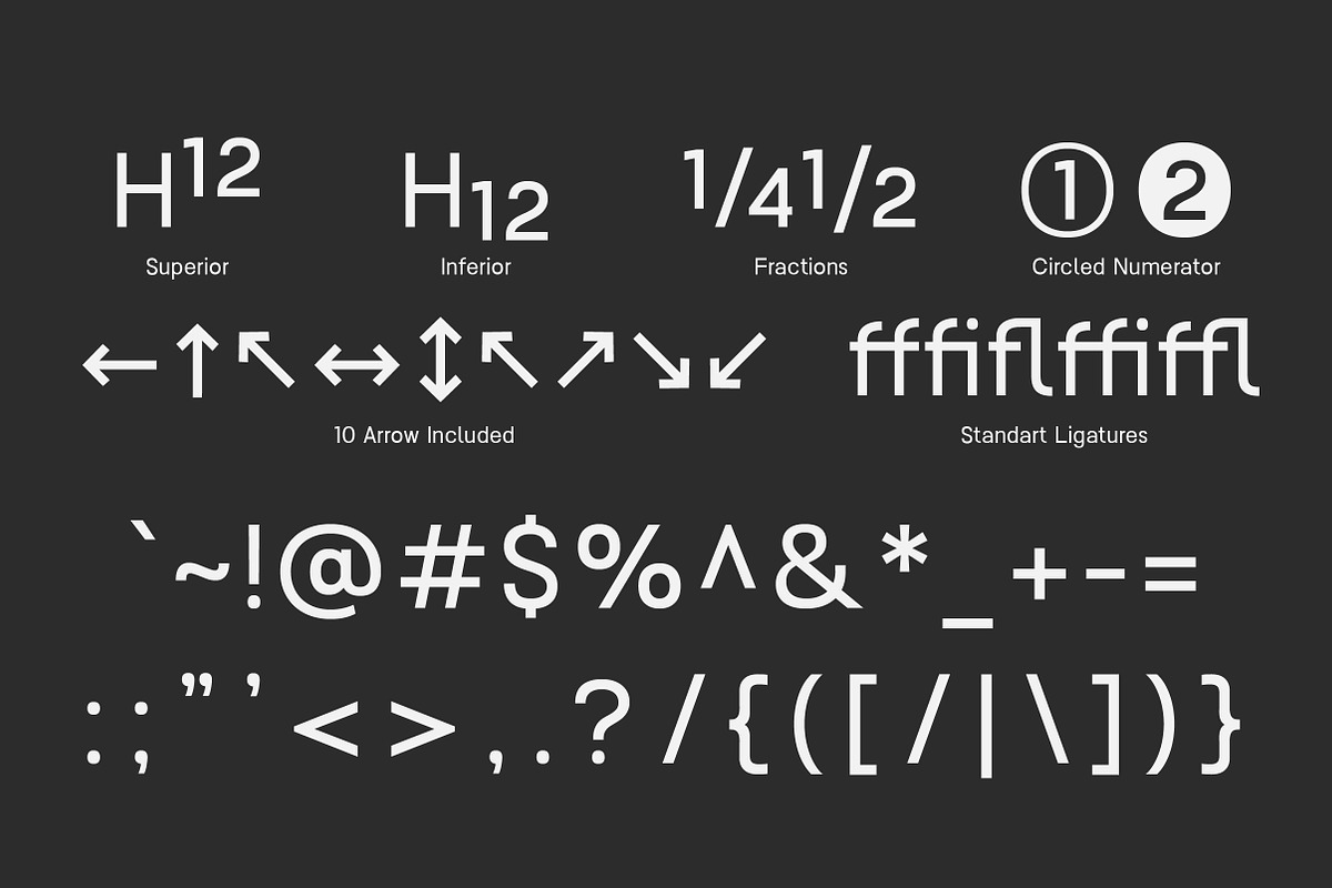 Nalte Sans Family | Intro 60% OFF, a Sans Serif Font by Lettertype Studio (Photo 10 of 15)