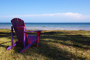 Relax stock photo containing bench and wood