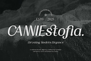 Aturia — High-contrast sans serif, a Sans Serif Font by Nollev (Thumbnail 6 of 12)