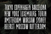 Raynexter – Condensed Brush Font, a Sans Serif Font by Fikryal Studio (Thumbnail 10 of 11)