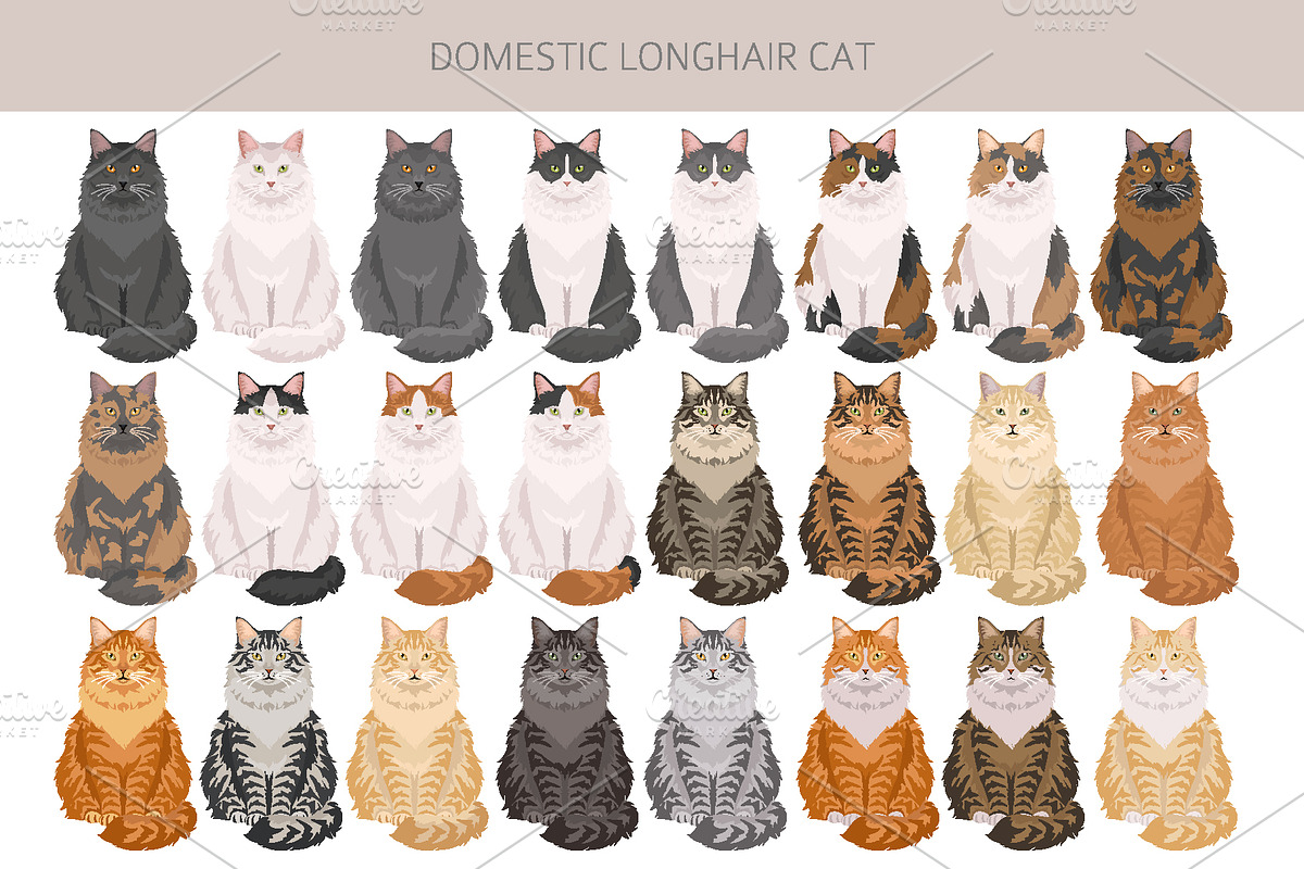 Domestic longhair cat, an Animal Illustration by pet design shop (Photo 3 of 6)