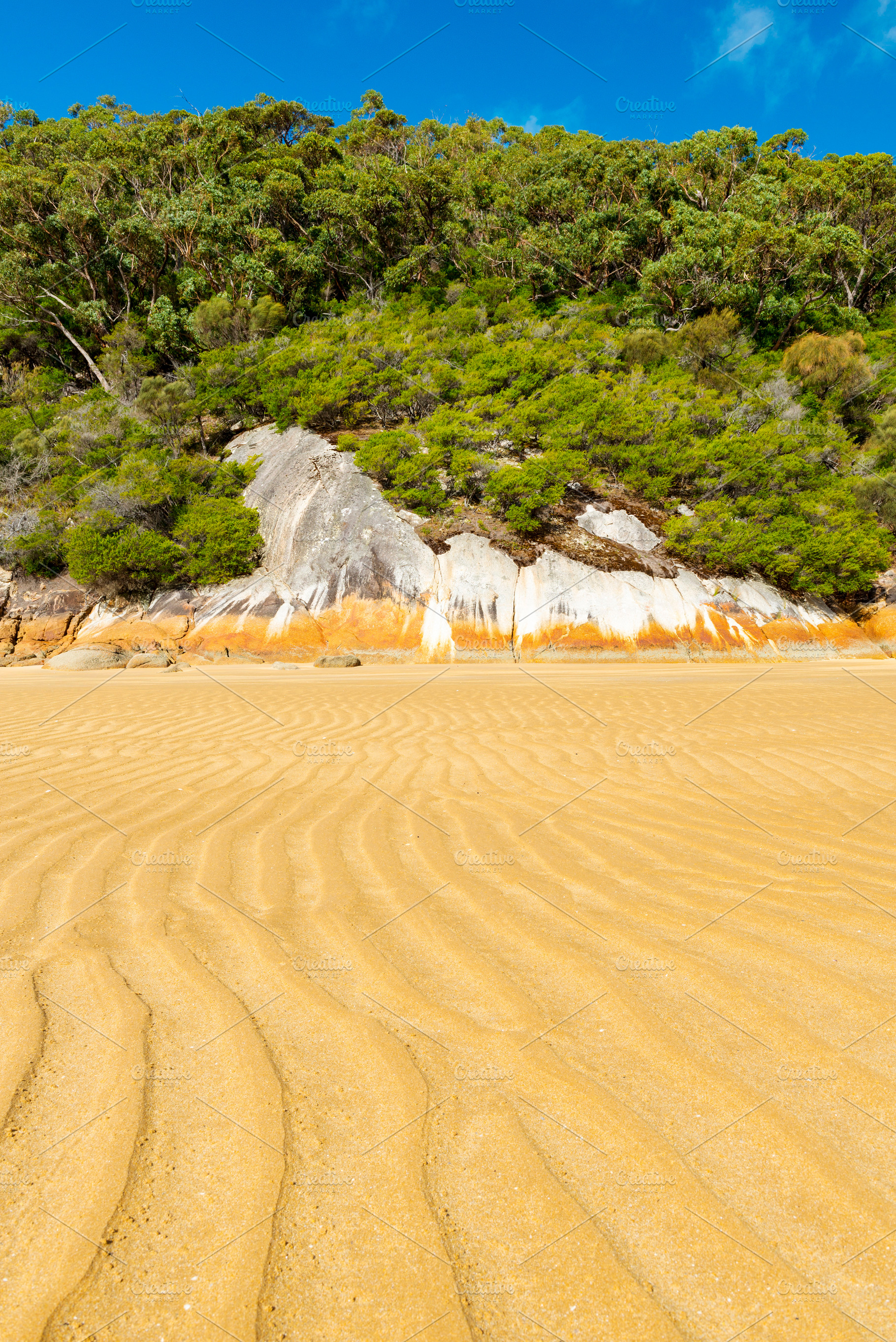 Seashore Landscape Background, a Nature Photo by THP Creative