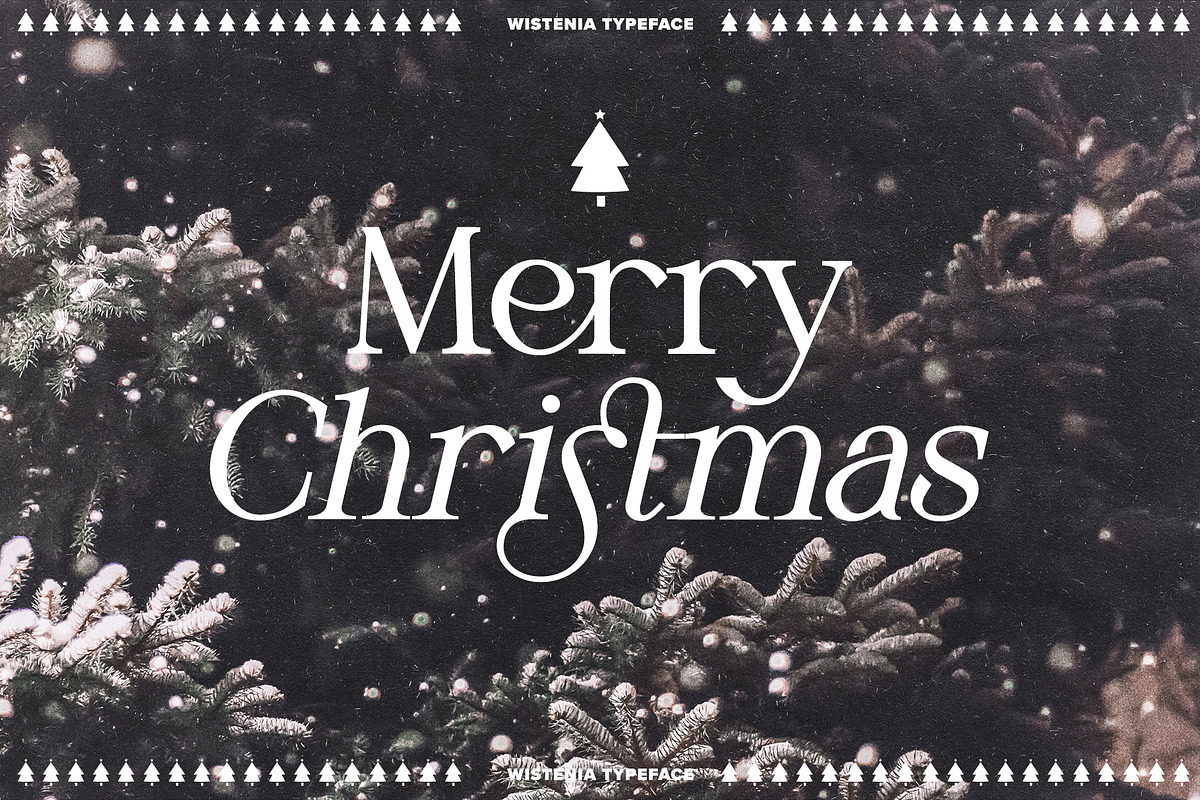 Wistenia Typeface, a Serif Font by Ivan Rosenberg (Photo 13 of 18)