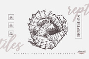 Vintage Bundle 2500+ Free Update, an Animal Illustration by Retro Machine (Thumbnail 5 of 170)