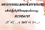 Bloom Quinn, a Handwritten Font by nongnuchpolyiam1 (Thumbnail 6 of 6)