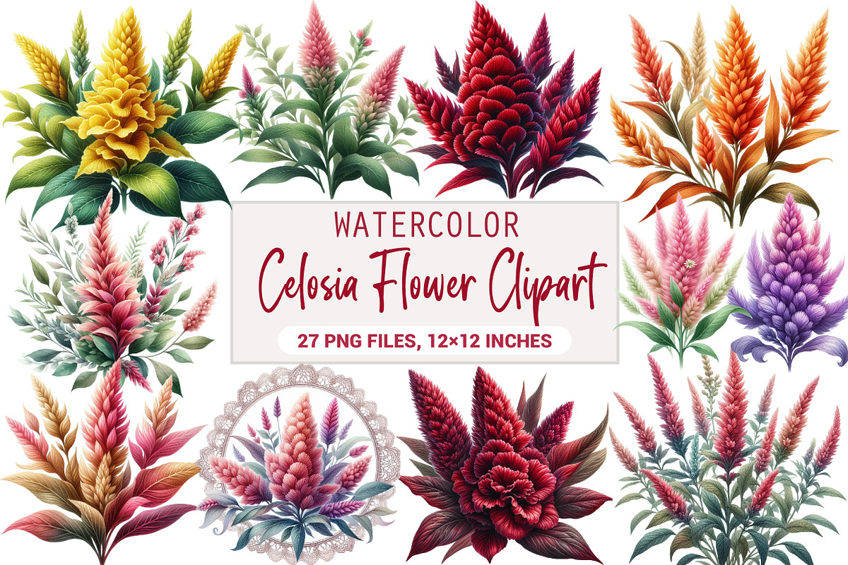 Celosia Flower Clipart, an Illustration by DreamArtGraphic (Photo 1 of 5)