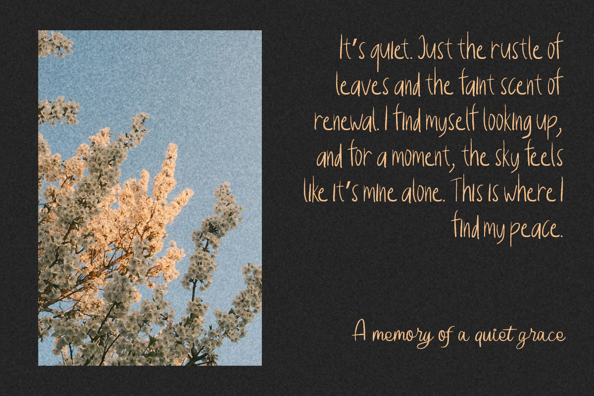 Mandragia Handcrafted Script, a Script Font by Littlehand (Photo 4 of 9)