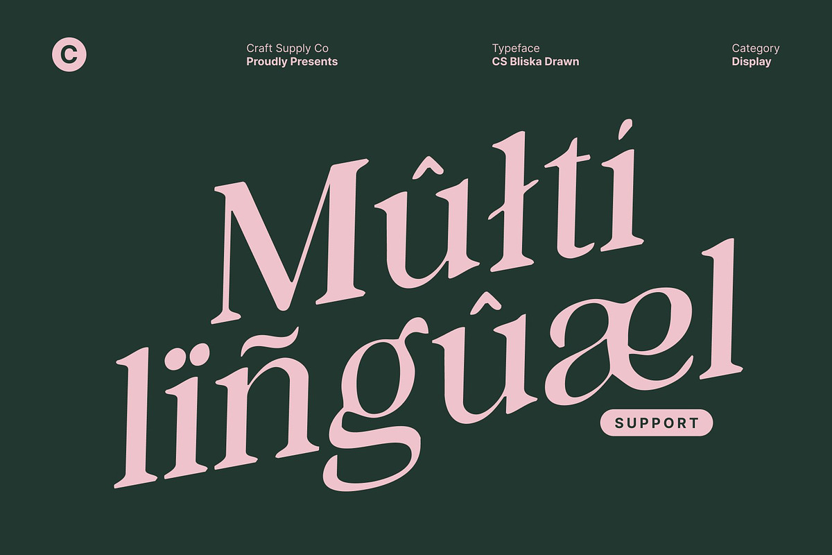 CS Bliska Drawn, a Serif Font by Craft Supply Co. (Photo 5 of 8)