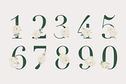 Watercolor White Rose Collection, an Object Illustration by bloomscape (Thumbnail 9 of 13)