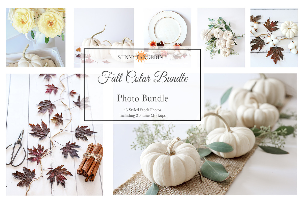 Fall Color Bundle Stock Photos, a Background Photo by SunnyTangerine Stock