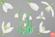 Watercolor Wedding Snowdrops, an Illustration by LittleAcornGraphics (Thumbnail 3 of 7)