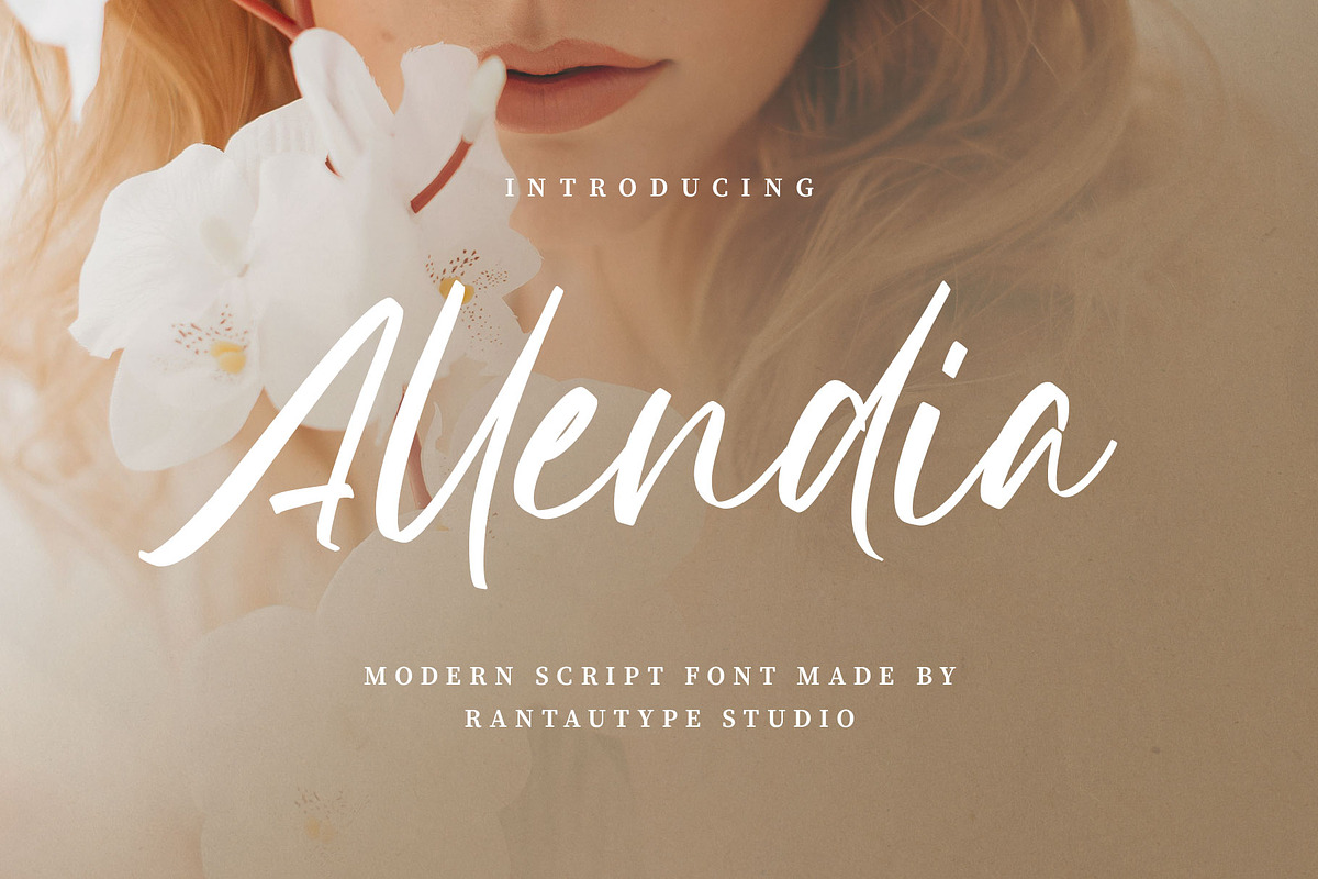 Allendia Modern Script Font, a Script Font by RantautypeStudio (Photo 1 of 15)