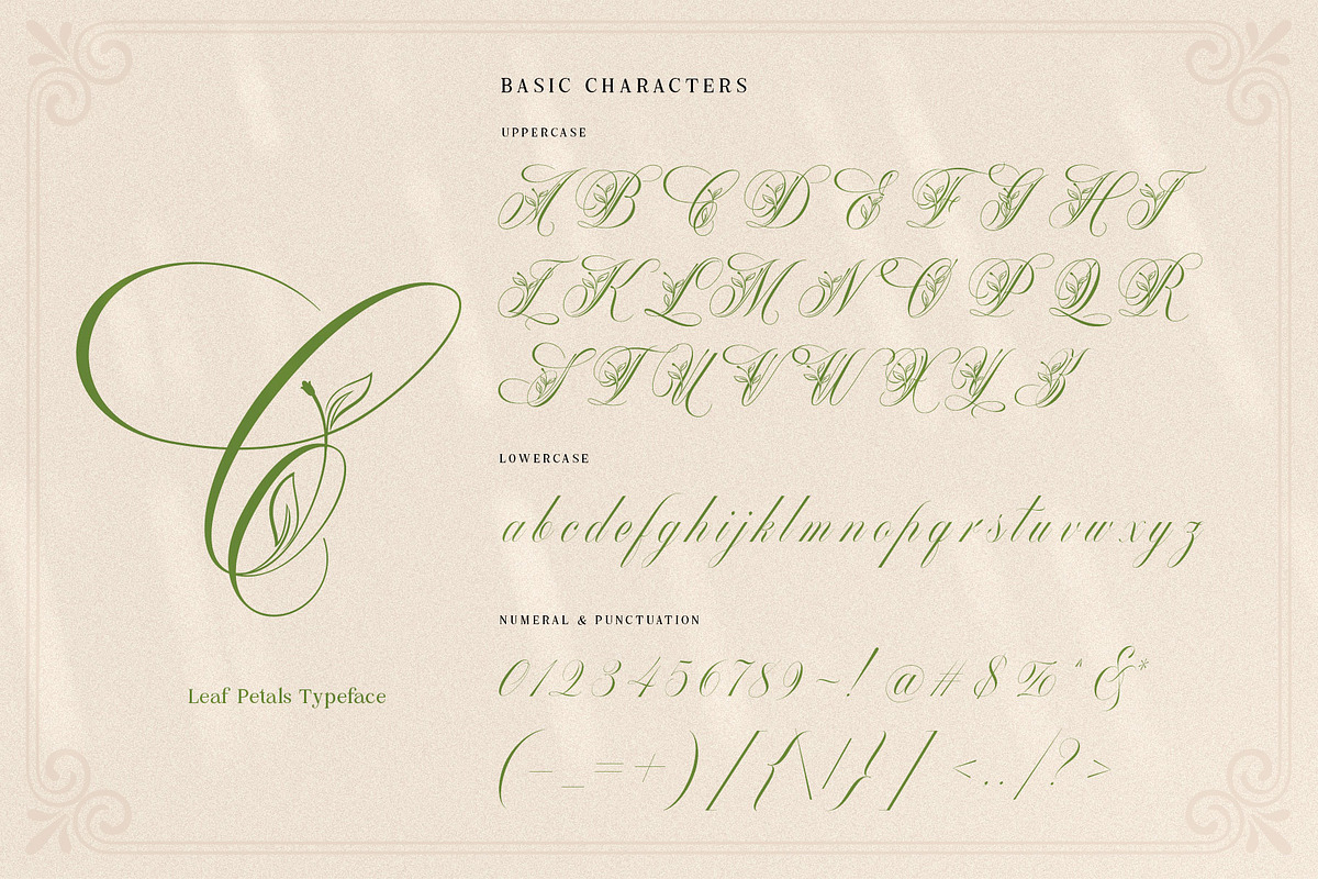 Mollani Nature Script, a Script Font by alit design (Photo 5 of 20)