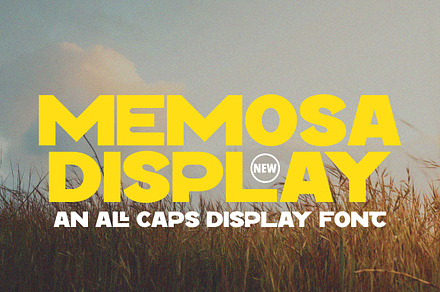 Memosa - All Caps Display Font, a Sans Serif Font by tebaltipislab