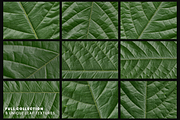Realistic Green Leaf Textures, a Texture Graphic by Ary_ngeblur (Thumbnail 3 of 4)