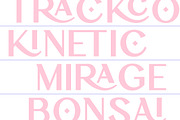 Drinkse A Modern Sans Serif, a Sans Serif Font by AmorfaType (Thumbnail 3 of 11)