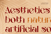 Stockhoolm Medieval Serif, a Serif Font by Creatype Studio (Thumbnail 3 of 10)