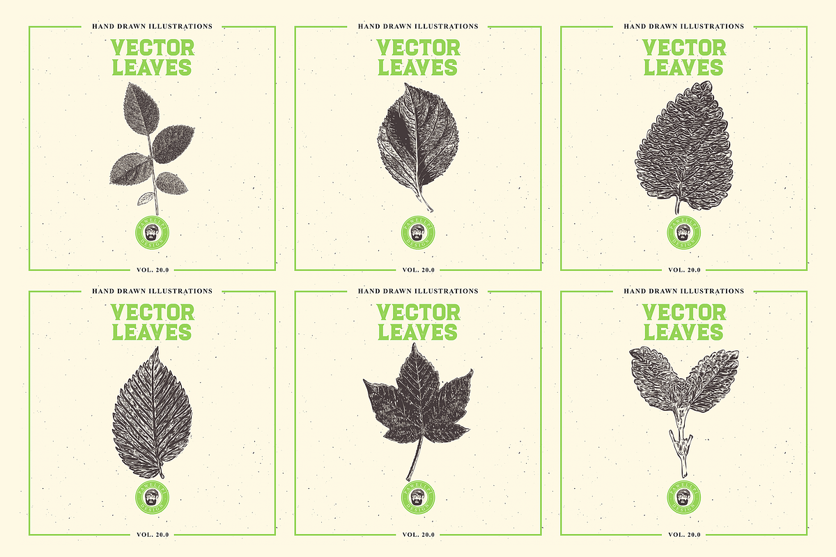VECTOR LEAVES HAND DRAWN BUNDLE v20, a Decorative Illustration by pawellpi (Photo 5 of 7)