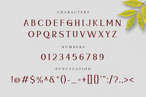 Meramoon - Display Serif Fonts