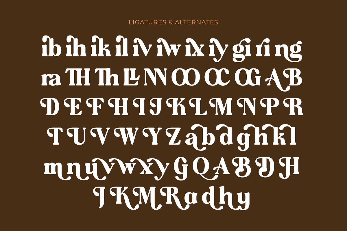 Regina Morise Classy Retro Serif, a Serif Font by timelesstype.co (Photo 19 of 20)