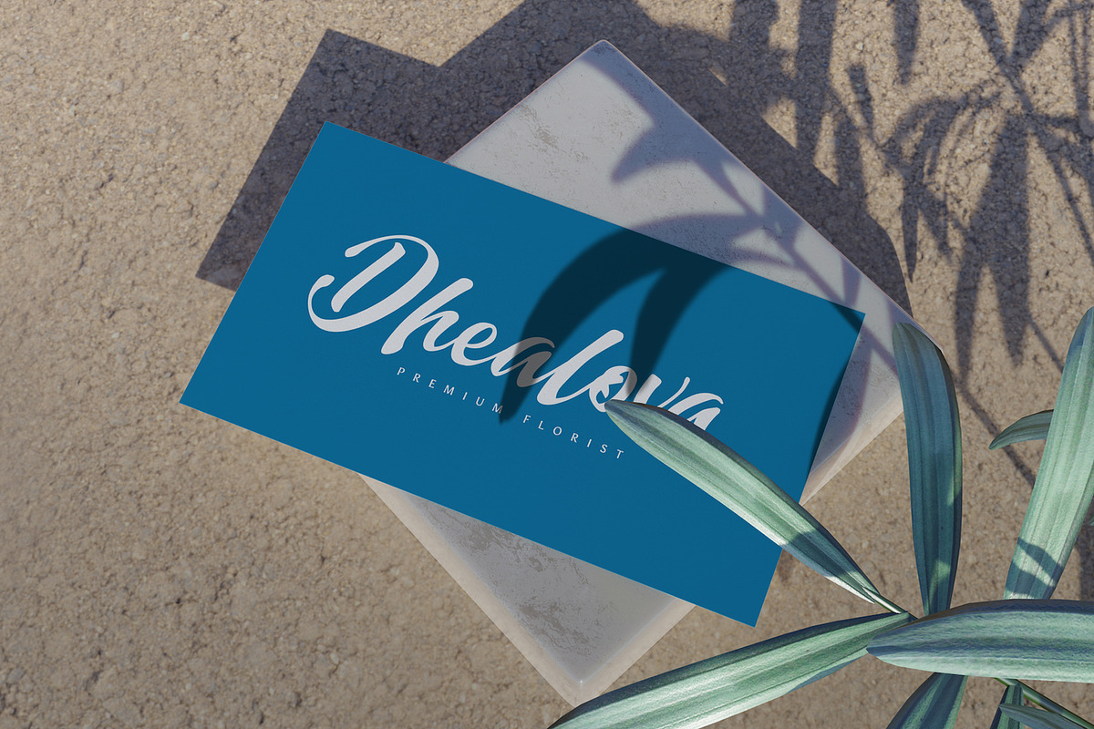 Dayden Batemisy - Brush Script Font, a Script Font by StringLabs (Photo 5 of 11)
