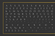 Alta Typeface (3 Weights) - SAVE 20%, a Sans Serif Font by Aaron Amar (Thumbnail 3 of 6)