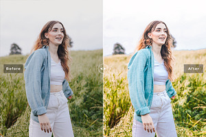 Canary Pro Lightroom Presets