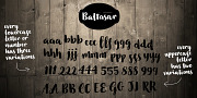 Baltasar, a Script Font by GRIN3 (Nowak) (Thumbnail 2 of 6)