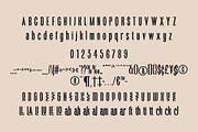 Flourite Font – Bold Condensed Displ, a Sans Serif Font by Brainwaves.Studio (Thumbnail 4 of 8)