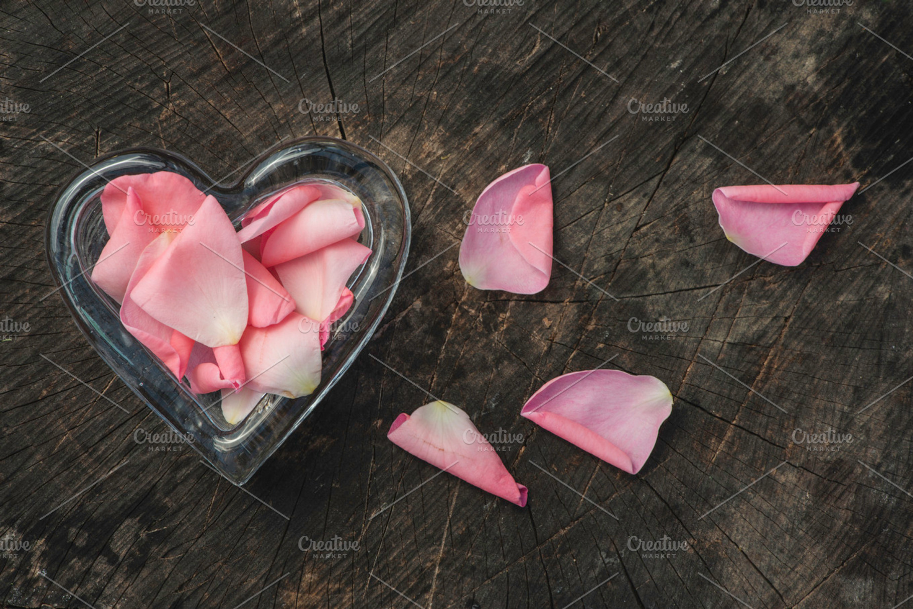 Rose leaves on wood featuring rose, petals, and heart, an Arts & Entertainment Photo by Deyan Georgiev